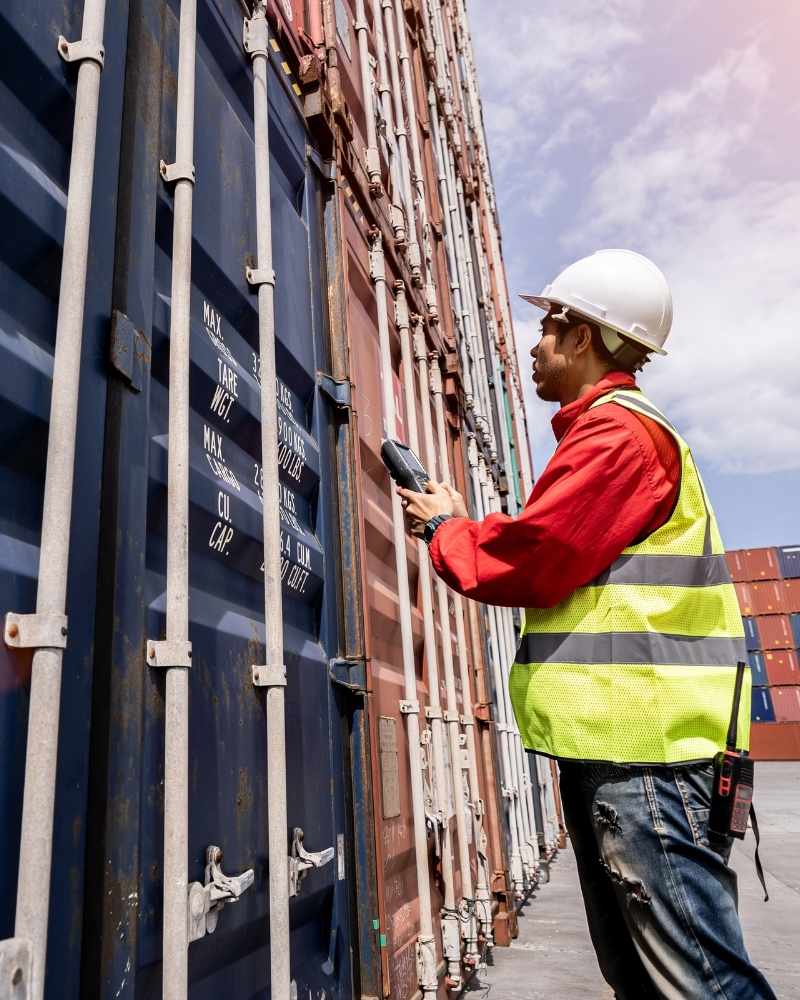 Import & Export Solutions